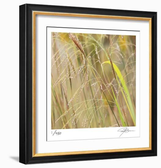 Grass 38-Ken Bremer-Framed Limited Edition