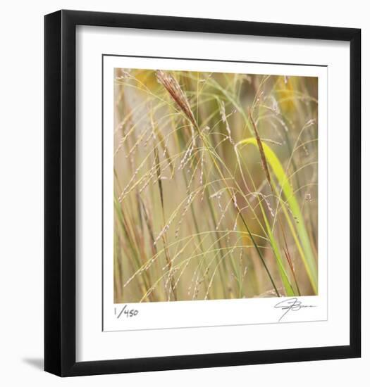 Grass 38-Ken Bremer-Framed Limited Edition