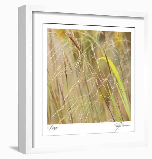 Grass 38-Ken Bremer-Framed Limited Edition