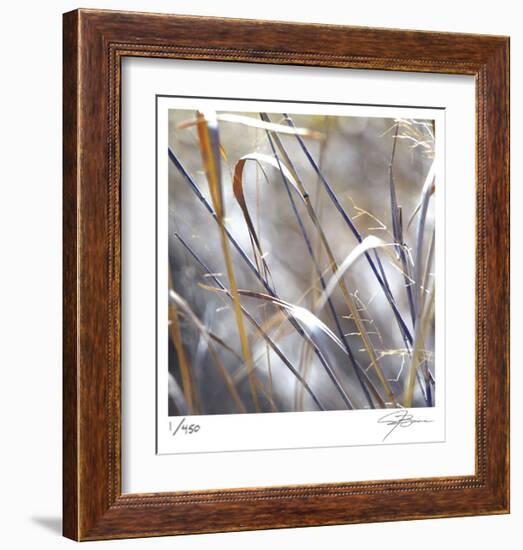 Grass 9-Ken Bremer-Framed Limited Edition