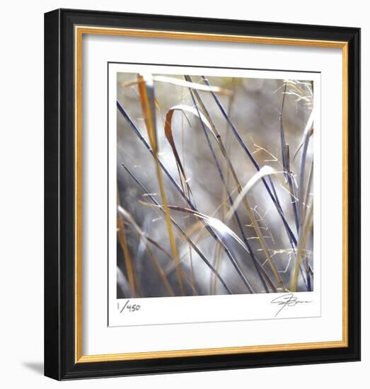 Grass 9-Ken Bremer-Framed Limited Edition