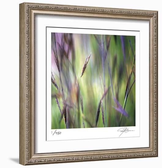 Grass Abstract 4-Ken Bremer-Framed Limited Edition