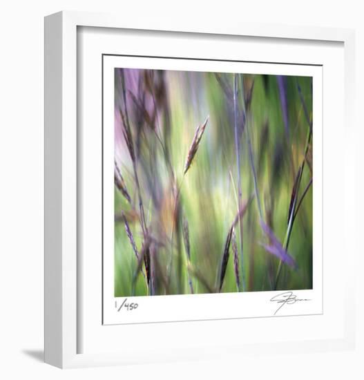 Grass Abstract 4-Ken Bremer-Framed Limited Edition