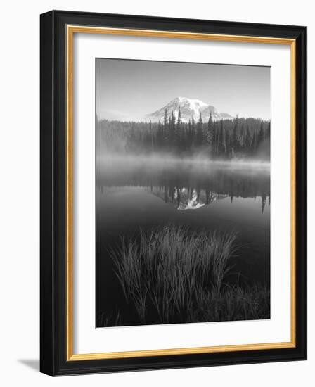 Grass Along Shore of Reflection Lake, Mount Rainier National Park, Washington, USA-Adam Jones-Framed Photographic Print