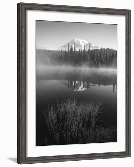 Grass Along Shore of Reflection Lake, Mount Rainier National Park, Washington, USA-Adam Jones-Framed Photographic Print