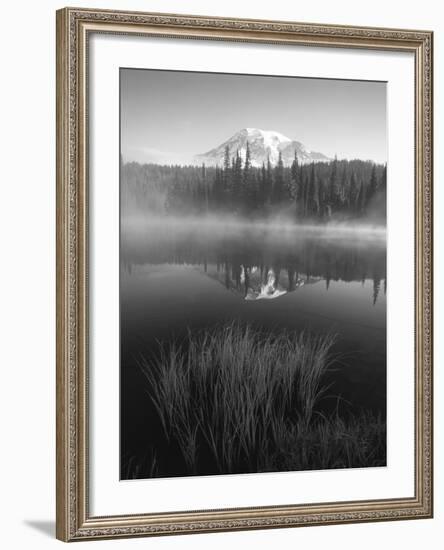 Grass Along Shore of Reflection Lake, Mount Rainier National Park, Washington, USA-Adam Jones-Framed Photographic Print