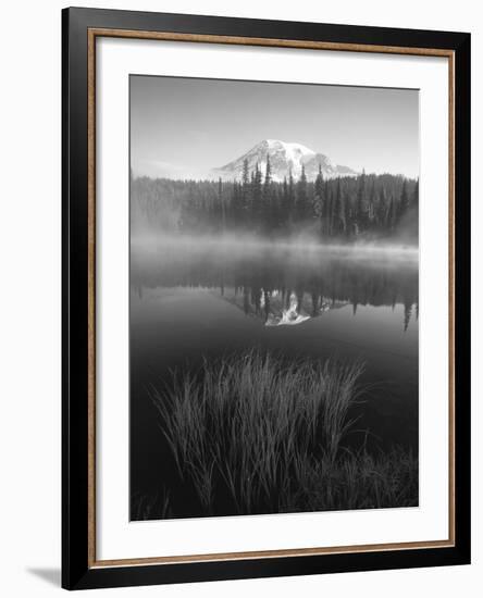 Grass Along Shore of Reflection Lake, Mount Rainier National Park, Washington, USA-Adam Jones-Framed Photographic Print