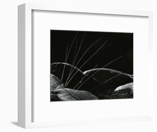 Grass and Lava, Hawaii, 1982-Brett Weston-Framed Photographic Print