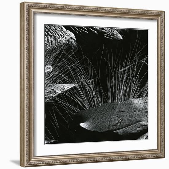 Grass and Lava, Hawaii, c. 1980-Brett Weston-Framed Photographic Print