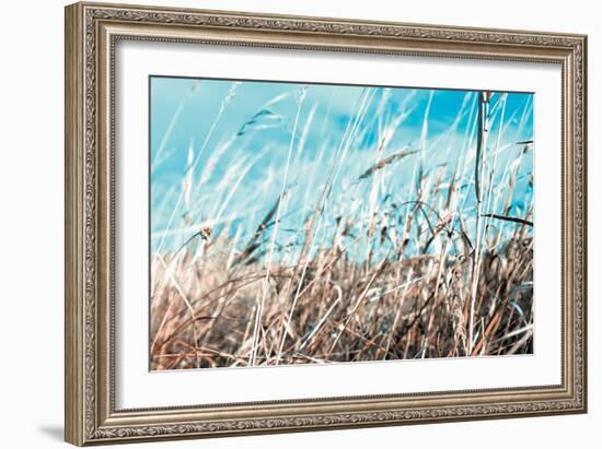 Grass and Reeds 4482-Rica Belna-Framed Giclee Print