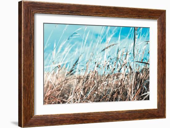 Grass and Reeds 4482-Rica Belna-Framed Giclee Print