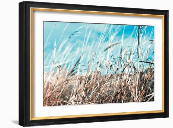 Grass and Reeds 4482-Rica Belna-Framed Giclee Print