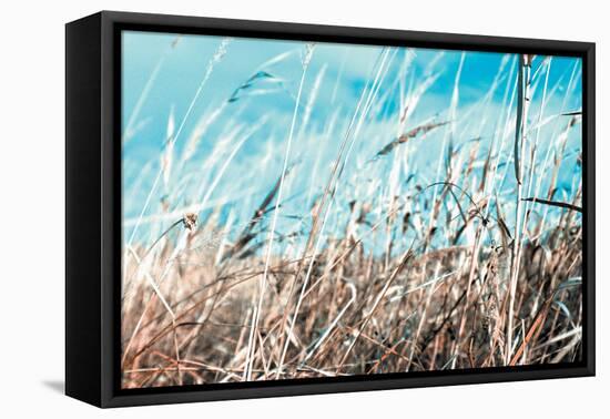 Grass and Reeds 4482-Rica Belna-Framed Premier Image Canvas