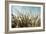 Grass and Reeds 6807-Rica Belna-Framed Giclee Print