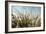 Grass and Reeds 6807-Rica Belna-Framed Giclee Print