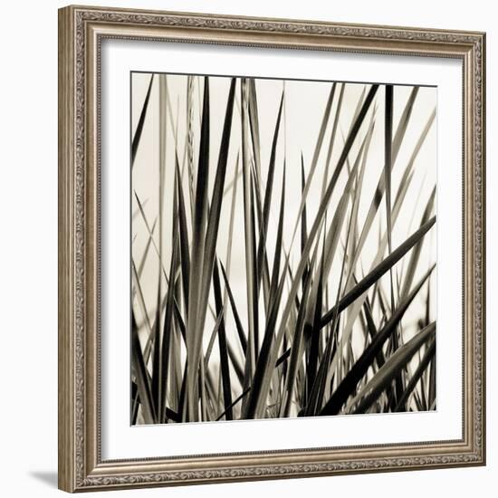 Grass and Reeds-Rica Belna-Framed Giclee Print