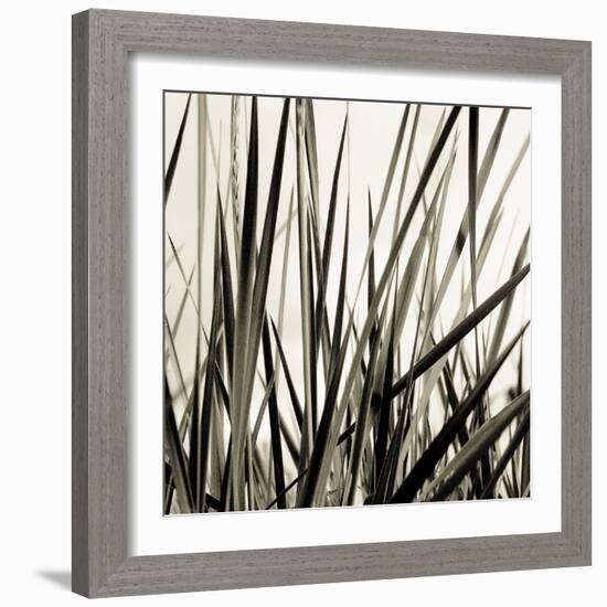 Grass and Reeds-Rica Belna-Framed Giclee Print