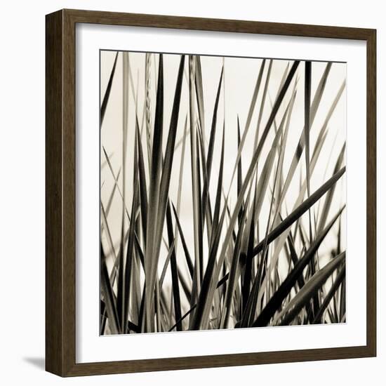 Grass and Reeds-Rica Belna-Framed Giclee Print