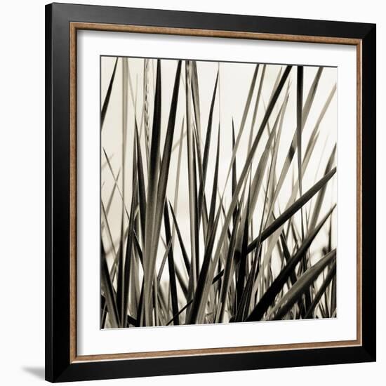 Grass and Reeds-Rica Belna-Framed Giclee Print