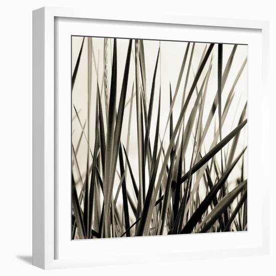 Grass and Reeds-Rica Belna-Framed Giclee Print