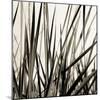 Grass and Reeds-Rica Belna-Mounted Giclee Print