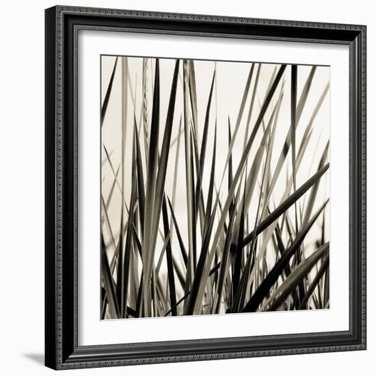 Grass and Reeds-Rica Belna-Framed Giclee Print