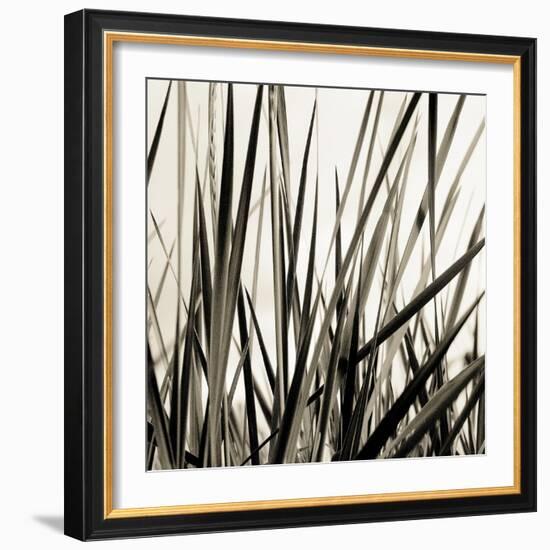 Grass and Reeds-Rica Belna-Framed Giclee Print