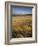 Grass and Sand Dunes on the Coast, Mellon Udridge, Wester Ross, Highlands, Scotland, United Kingdom-Neale Clarke-Framed Photographic Print