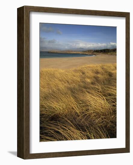 Grass and Sand Dunes on the Coast, Mellon Udridge, Wester Ross, Highlands, Scotland, United Kingdom-Neale Clarke-Framed Photographic Print