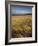 Grass and Sand Dunes on the Coast, Mellon Udridge, Wester Ross, Highlands, Scotland, United Kingdom-Neale Clarke-Framed Photographic Print