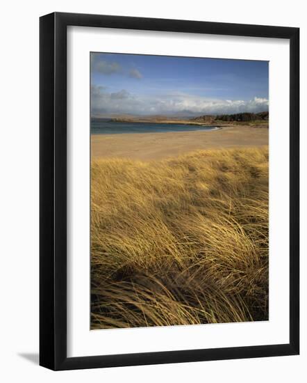 Grass and Sand Dunes on the Coast, Mellon Udridge, Wester Ross, Highlands, Scotland, United Kingdom-Neale Clarke-Framed Photographic Print