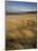 Grass and Sand Dunes on the Coast, Mellon Udridge, Wester Ross, Highlands, Scotland, United Kingdom-Neale Clarke-Mounted Photographic Print