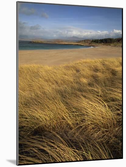 Grass and Sand Dunes on the Coast, Mellon Udridge, Wester Ross, Highlands, Scotland, United Kingdom-Neale Clarke-Mounted Photographic Print