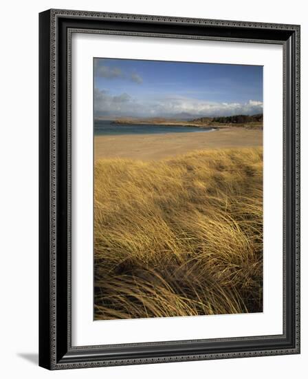 Grass and Sand Dunes on the Coast, Mellon Udridge, Wester Ross, Highlands, Scotland, United Kingdom-Neale Clarke-Framed Photographic Print