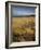 Grass and Sand Dunes on the Coast, Mellon Udridge, Wester Ross, Highlands, Scotland, United Kingdom-Neale Clarke-Framed Photographic Print