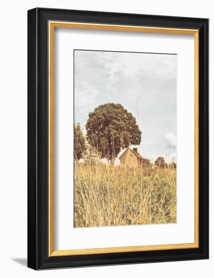 Grass and Sky Light-Aledanda-Framed Photographic Print