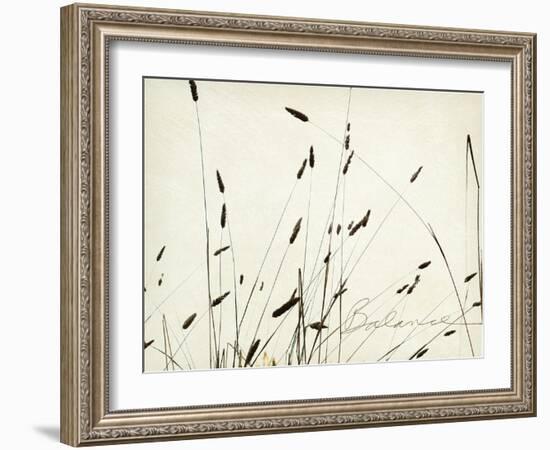 Grass Balance-Amy Melious-Framed Art Print