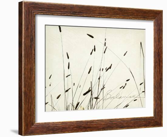 Grass Balance-Amy Melious-Framed Art Print