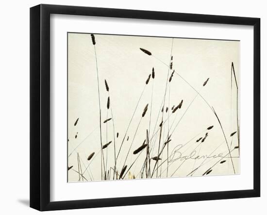 Grass Balance-Amy Melious-Framed Art Print