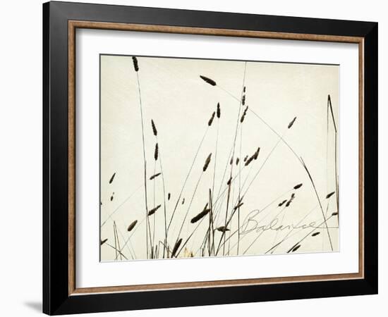 Grass Balance-Amy Melious-Framed Art Print