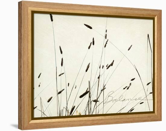 Grass Balance-Amy Melious-Framed Stretched Canvas