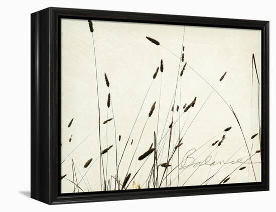 Grass Balance-Amy Melious-Framed Stretched Canvas