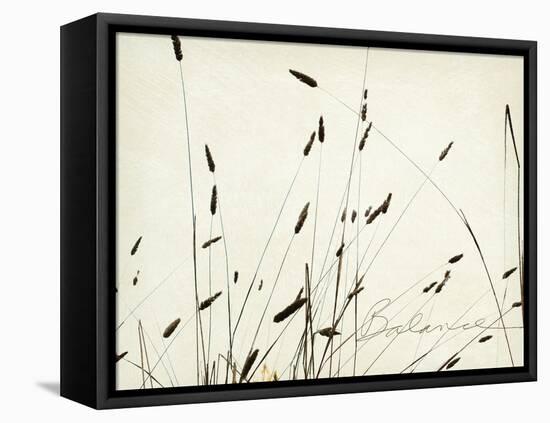 Grass Balance-Amy Melious-Framed Stretched Canvas