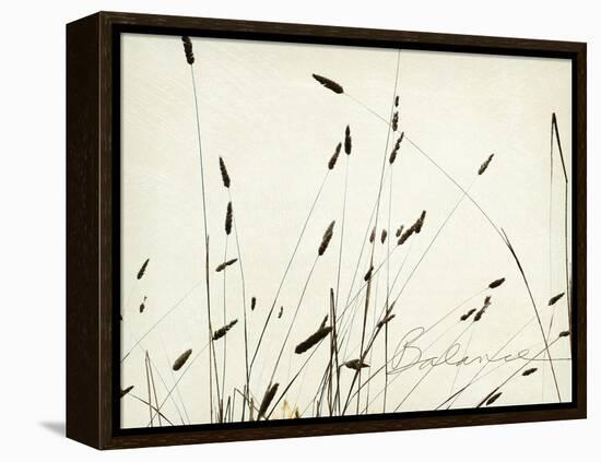 Grass Balance-Amy Melious-Framed Stretched Canvas