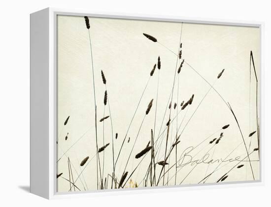 Grass Balance-Amy Melious-Framed Stretched Canvas