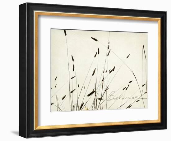 Grass Balance-Amy Melious-Framed Premium Giclee Print