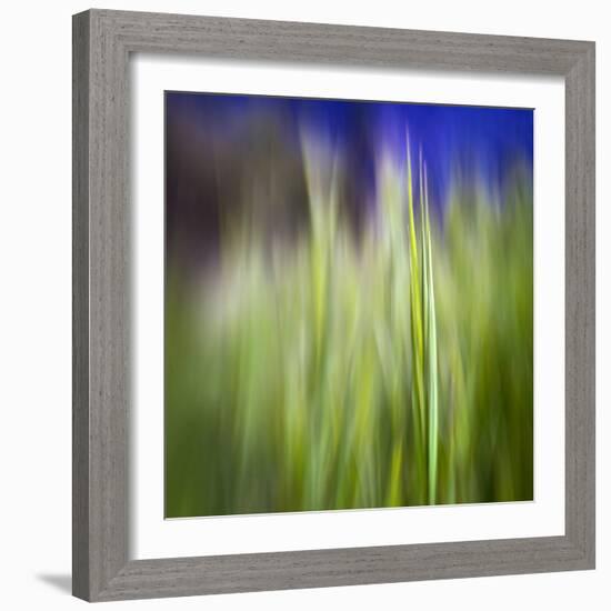 Grass Blade-Ursula Abresch-Framed Photographic Print