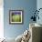 Grass Blade-Ursula Abresch-Framed Photographic Print displayed on a wall