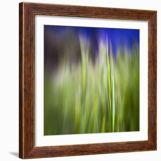 Grass Blade-Ursula Abresch-Framed Photographic Print