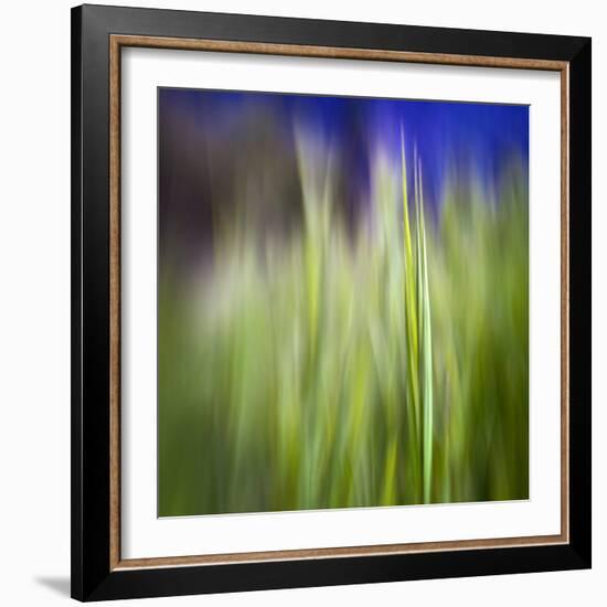 Grass Blade-Ursula Abresch-Framed Photographic Print